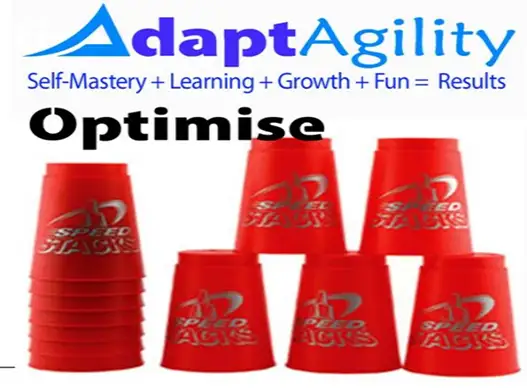 Team Building Adapatgility Stacker 1 And High Performance Team Building Events Ideas Gauteng